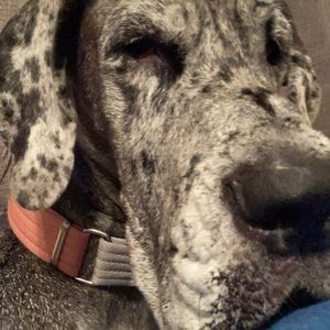 Meet your Posher, Mataya